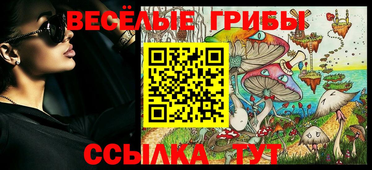 Галлюциногенные грибы Cubensis Донской