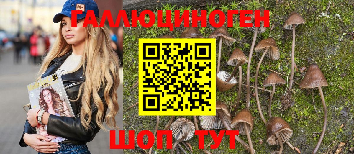 Псилоцибиновые грибы MAGIC MUSHROOMS  Псилоцибиновые грибы GOLDEN TEACHER  Вход с VPN  Донской 